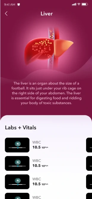 Liver health screen with an organ illustration, a plain-language explanation and lab values